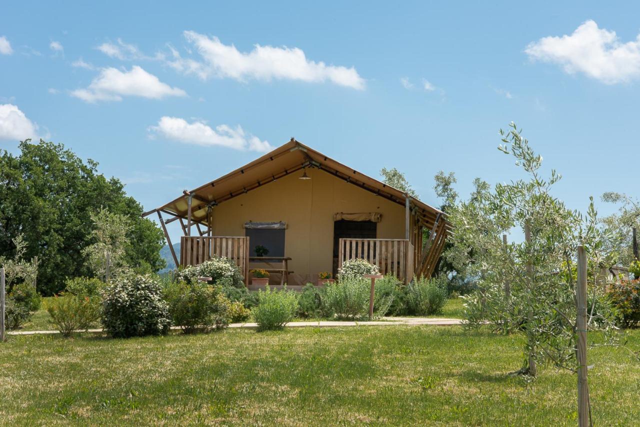 Agriturismo L'Antica Fornace Peccioli Eksteriør billede