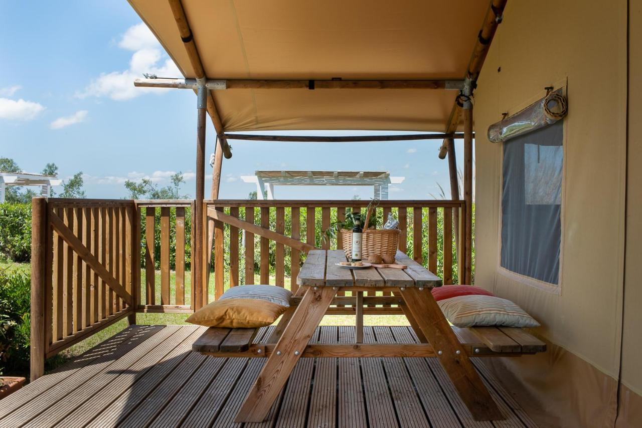 Agriturismo L'Antica Fornace Peccioli Eksteriør billede